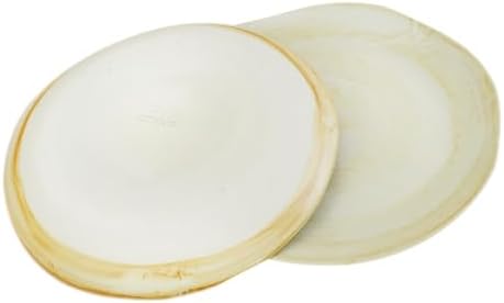 roro Handmade Brown Clay Dinner Plates Set of 2