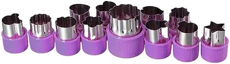 Pokinge 12Pcs Vegetable Flower Cutter Set