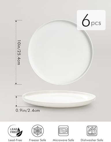 AISBUGUR 6-Piece 10-Inch Dinner Plates Set White