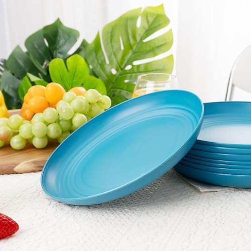 LIYH 20 PCS Wheat Straw Plates - 9 Inch Unbreakable Dinnerware