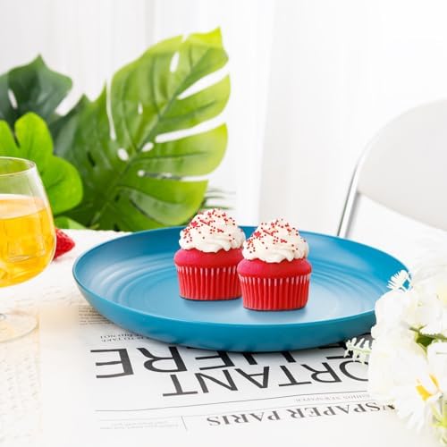 LIYH 20 PCS Wheat Straw Plates - 9 Inch Unbreakable Dinnerware