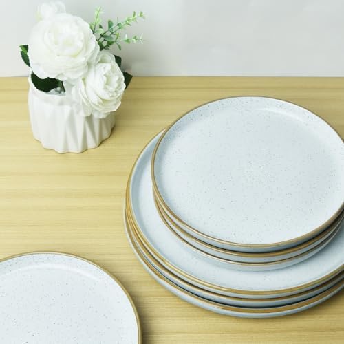 BOLIWANAY 16-Piece Ceramic Dinnerware Set for 4 1