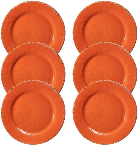 ZAROCRUS 11 Melamine Plates Set of 6