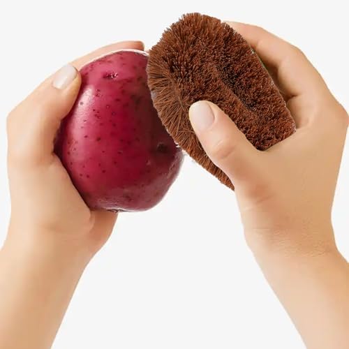 Vegetable Scrub Brush - Eco-Friendly Coconut Fiber 1
