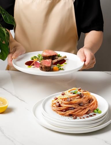 AISBUGUR 6-Piece 10-Inch Dinner Plates Set White