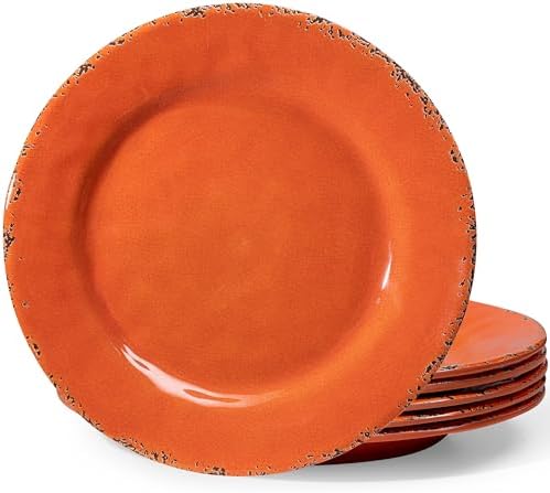 ZAROCRUS 11 Melamine Plates Set of 6