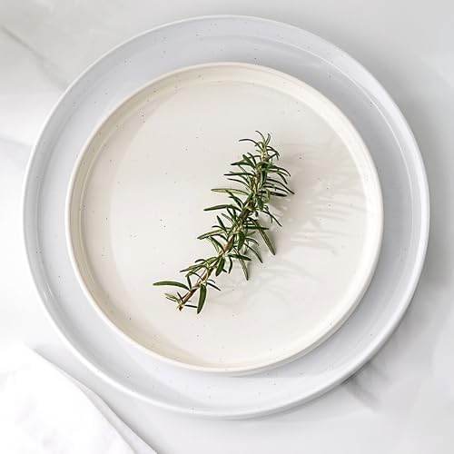GBHOME Dinnerware Set for 4 12 Piece Speckled Plates and Bowls Set