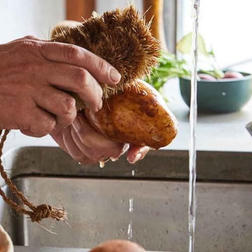 Pack of 2 Tawashi Brushes for Cleaning Fruits Vegetables
