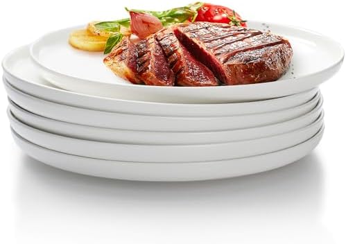 AISBUGUR 6-Piece 10-Inch Dinner Plates Set White