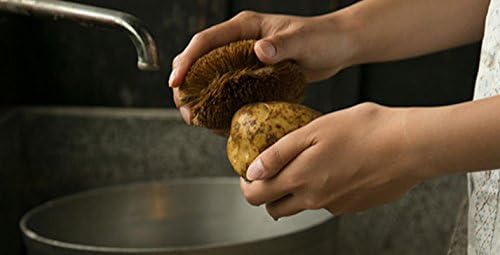KAMENOKO TAWASHI Vegetable Scrub Brush Set of 2