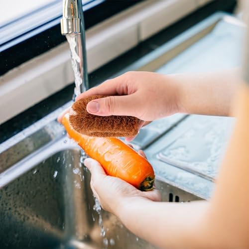 PEUTIER 2pcs Vegetable Scrubber for Food Cleaning