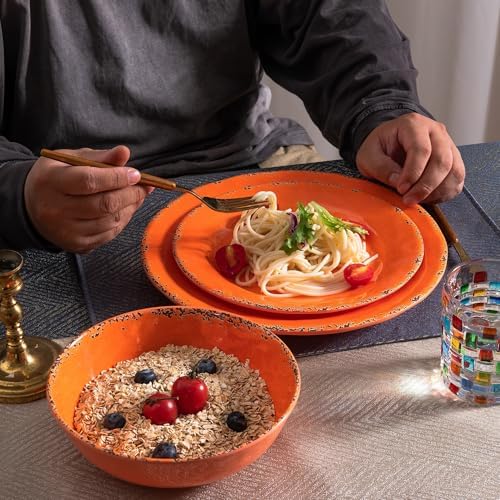 ZAROCRUS 11 Melamine Plates Set of 6