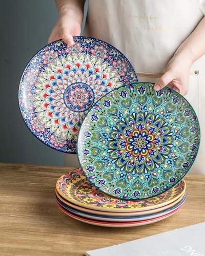 Euisail Dinner Plate Set of 6 1025 Inch Ceramic Plates