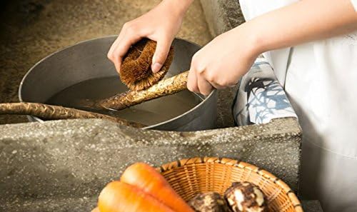 KAMENOKO TAWASHI Vegetable Scrub Brush Set of 2