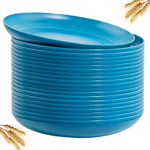 LIYH 20 PCS Wheat Straw Plates - 9 Inch Unbreakable Dinnerware