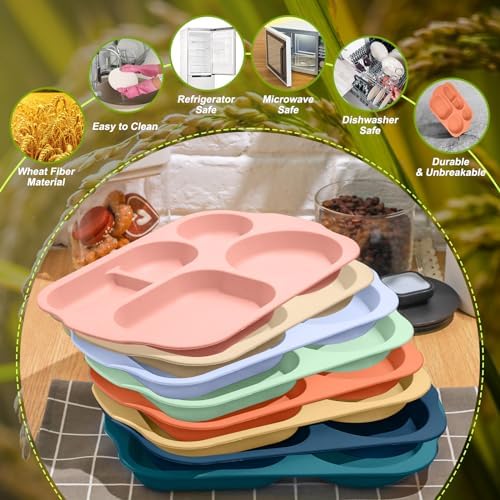 Vesici 8 Pcs 12 Inch Multicolor Divided Plates