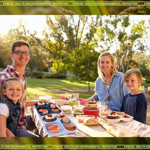 Vesici 8 Pcs 12 Inch Multicolor Divided Plates
