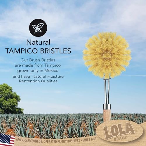 LOLA Original Tampico Brush - Sustainable Wood Handle 2 Diameter