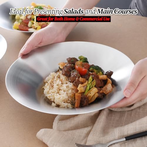 WAGENSTEIGER 4-Piece Brushed Stainless Steel Plates Set