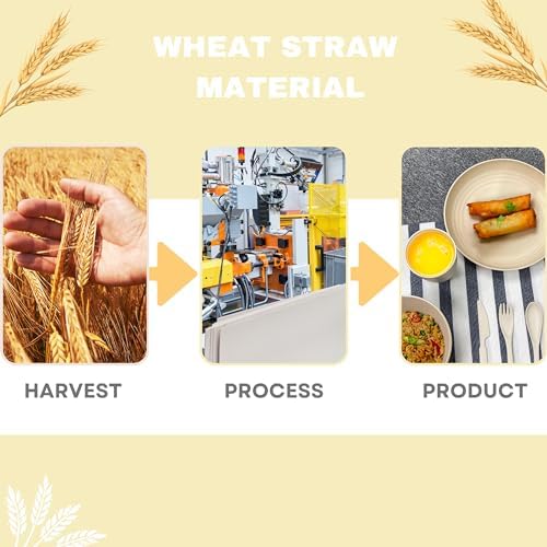 ECOSTAR Unbreakable Wheat Straw Dinnerware Set