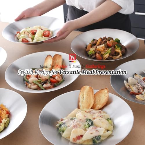 WAGENSTEIGER 4-Piece Brushed Stainless Steel Plates Set
