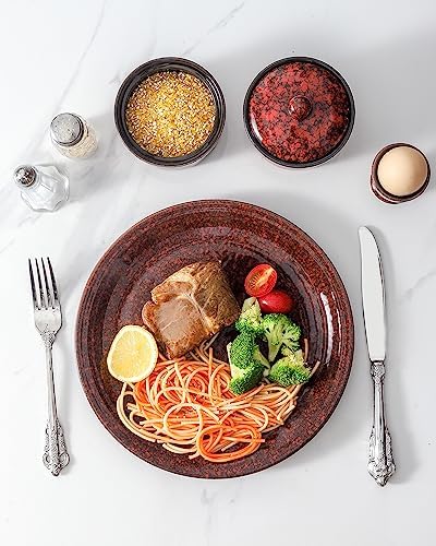 Hasense 2 Piece Porcelain Dinnerware Set Red 10 Inch Plates