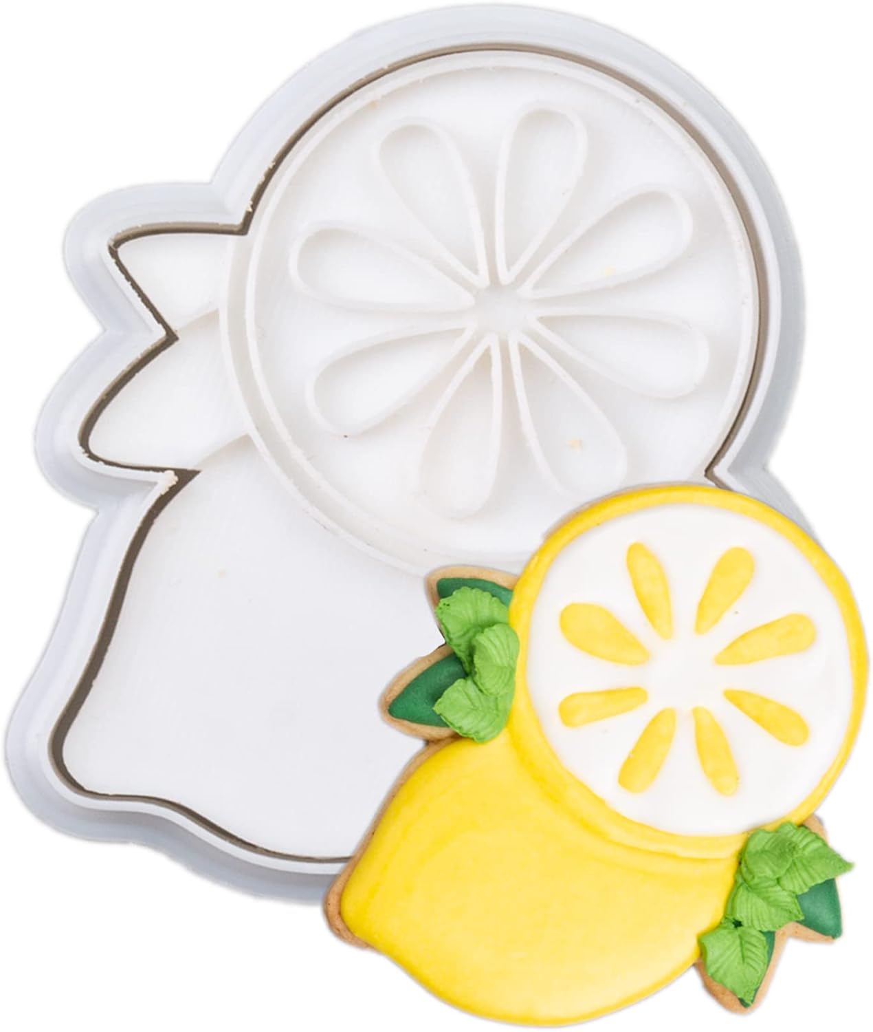 Flycalf Fruit Cookie Cutters with Plunger Stamps