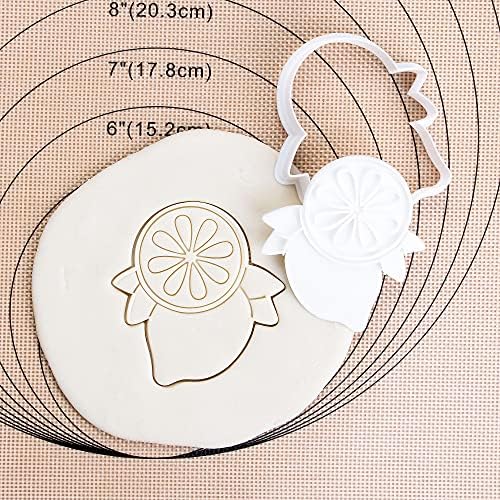 Flycalf Fruit Cookie Cutters with Plunger Stamps