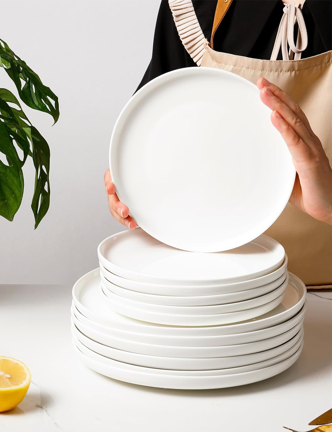 AISBUGUR 6-Piece 10-Inch Dinner Plates Set White