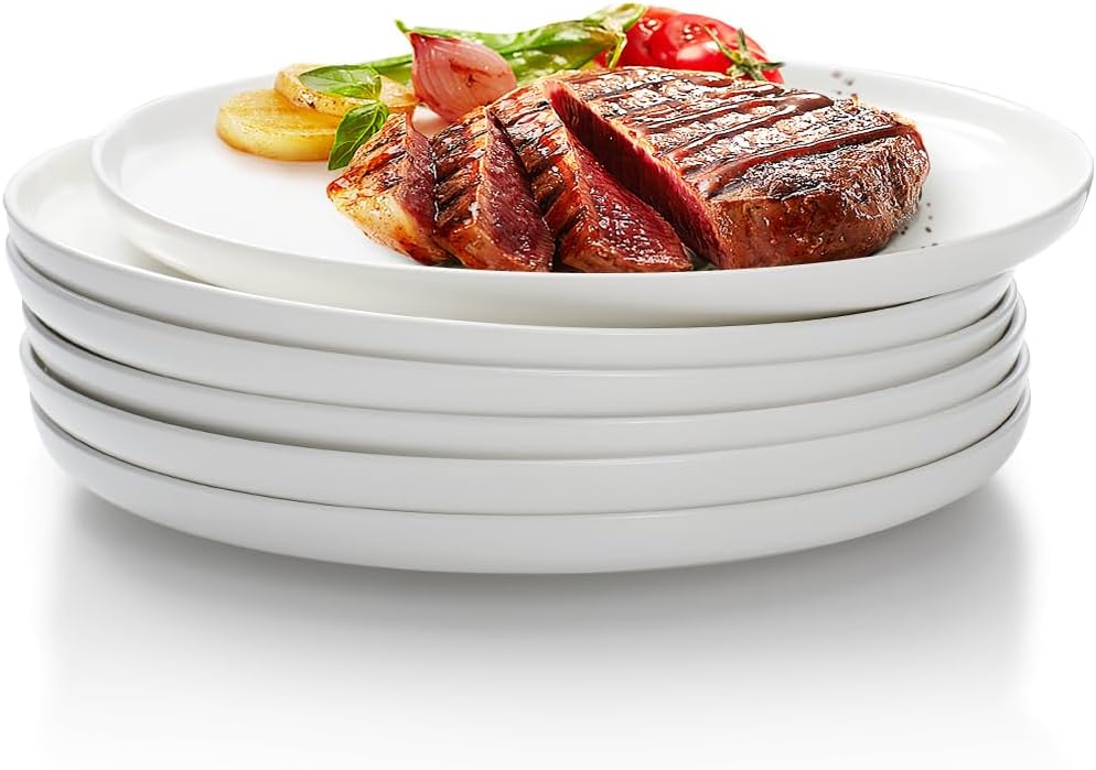 AISBUGUR 6-Piece 10-Inch Dinner Plates Set White