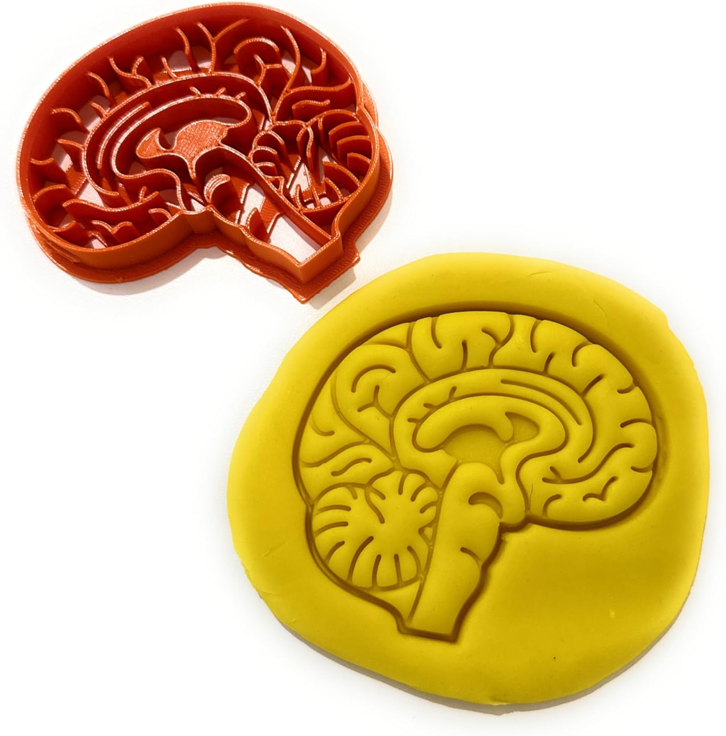 T3D Human Brain Cookie Cutter Baking Decorating Tool
