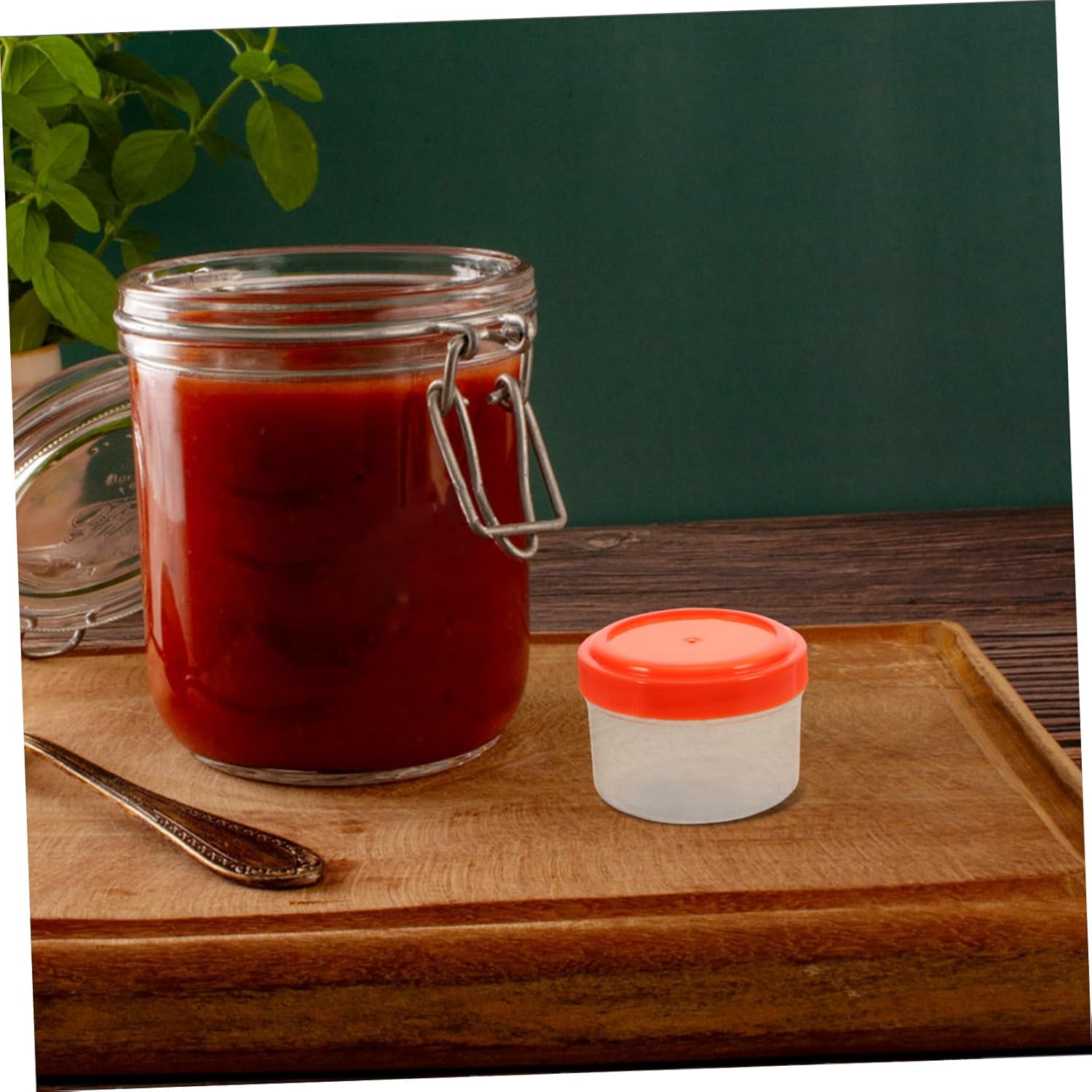 Mini Sauce Containers with Lids for Meal Prep and Bbq