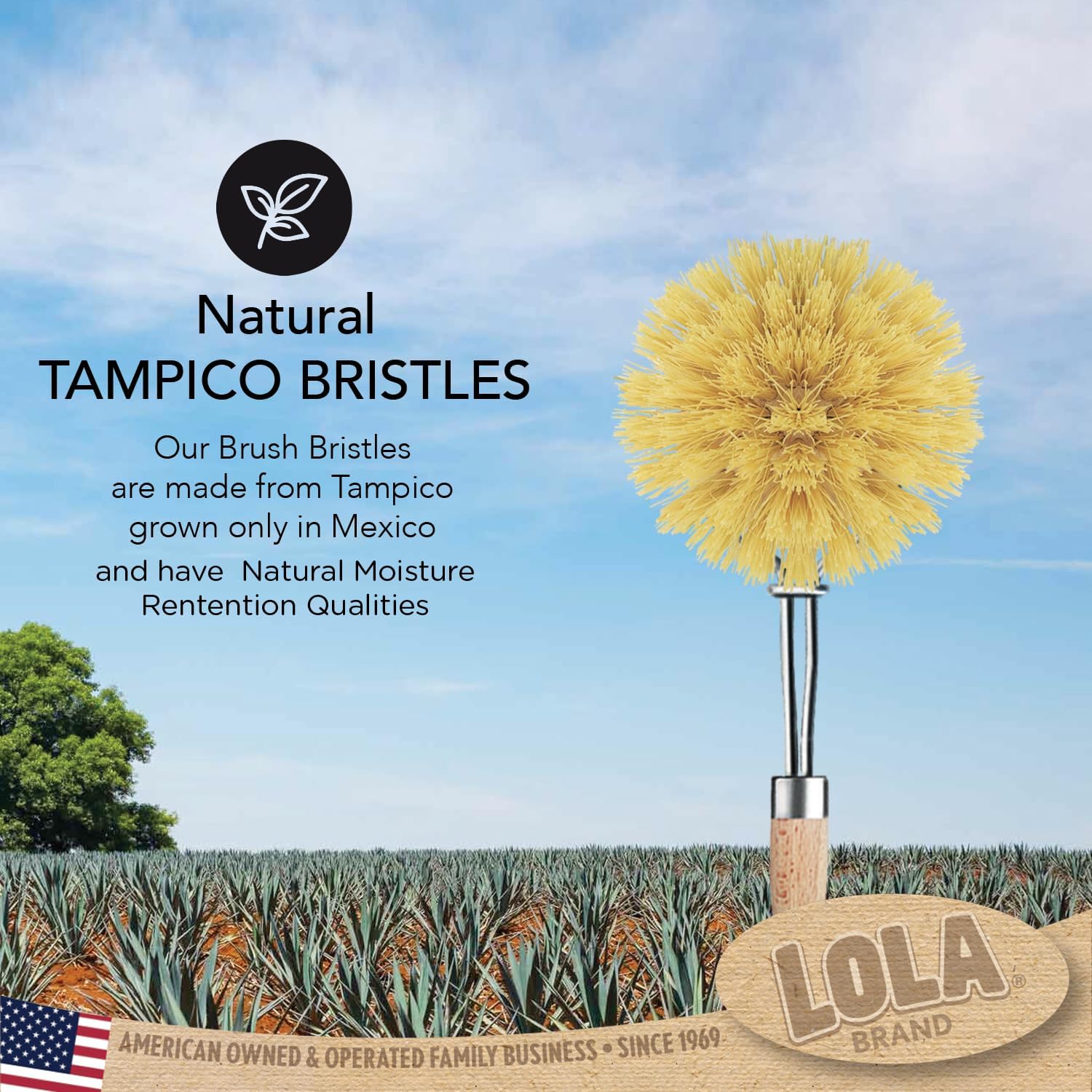 LOLA Original Tampico Brush - Sustainable Wood Handle 2 Diameter