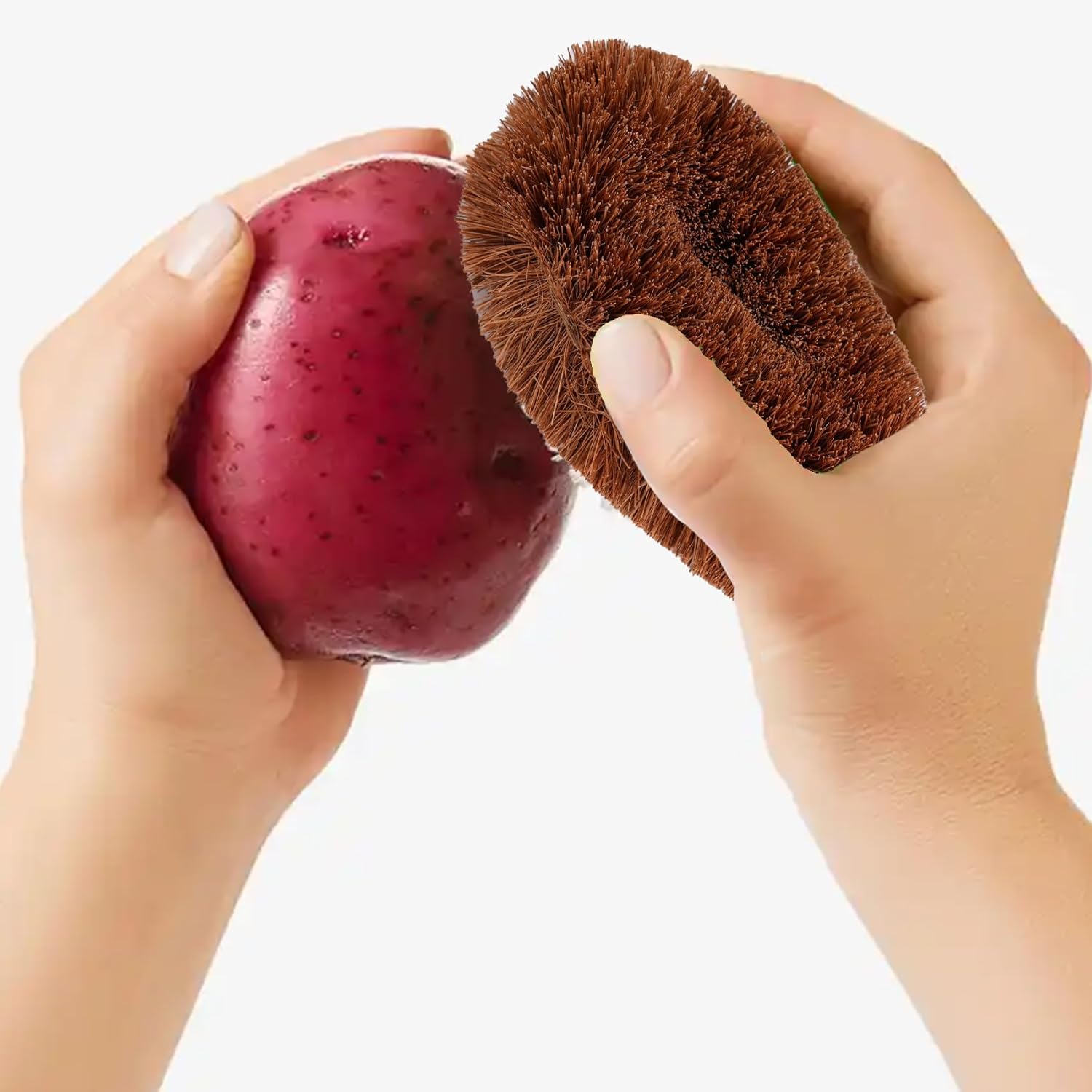 Vegetable Scrub Brush - Eco-Friendly Coconut Fiber 1