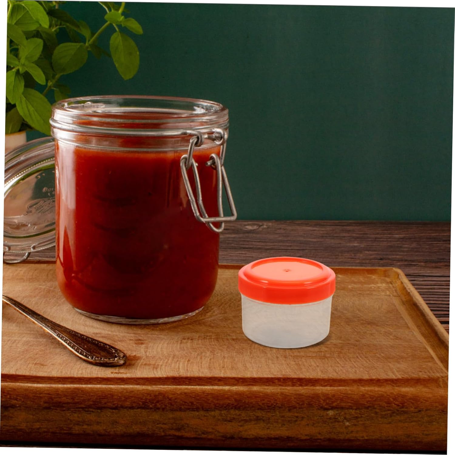 VOSAREA Mini Sauce Containers with Lids for Salad and Meal Prep