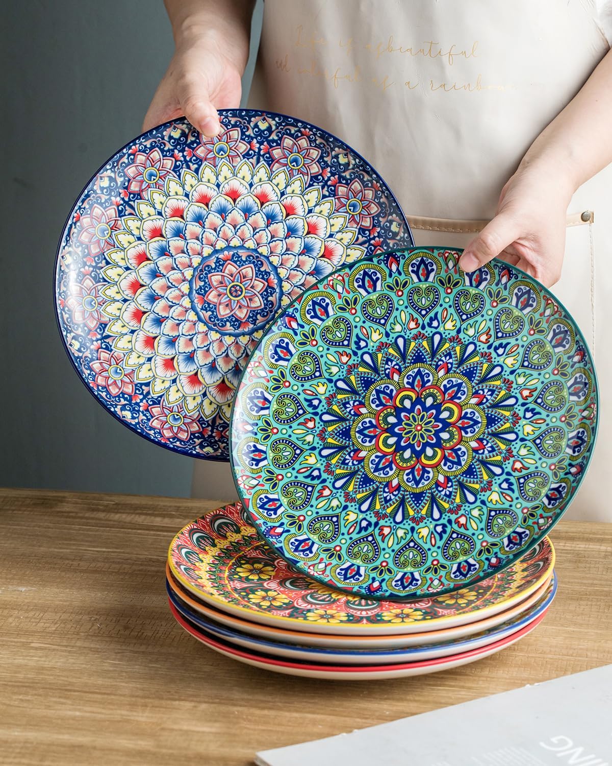 Euisail Dinner Plate Set of 6 1025 Inch Ceramic Plates