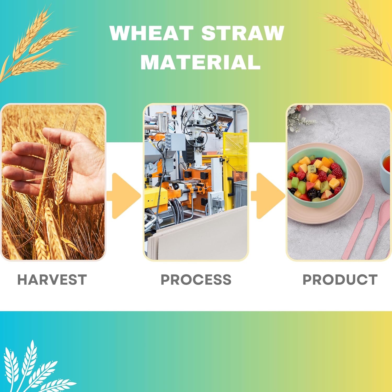 ECOSTAR Unbreakable Wheat Straw Dinnerware Set 1
