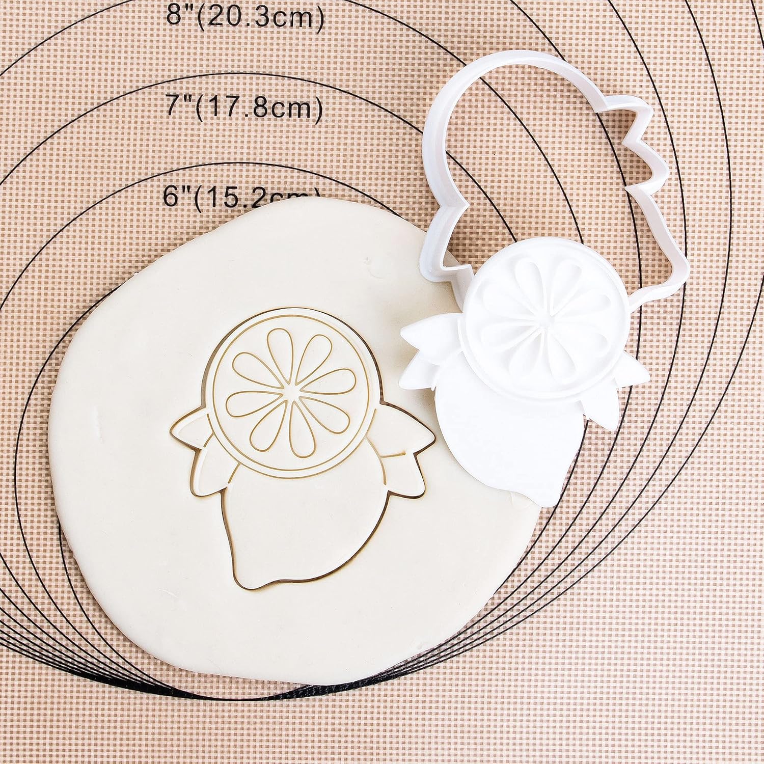 Flycalf Fruit Cookie Cutters with Plunger Stamps